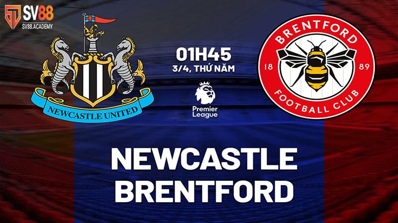 Nhận định trận đấu Newcastle vs Brentford