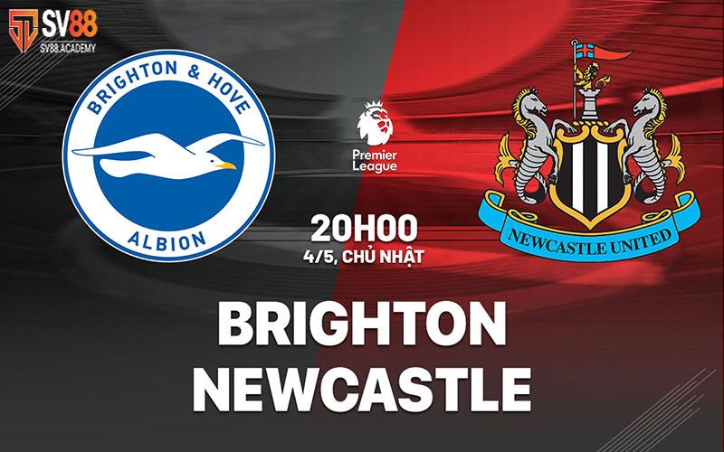 Phân tích bóng đá Brighton vs Newcastle